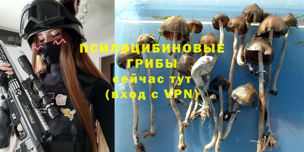 дживик Дмитровск