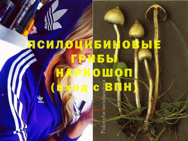 мдма Дмитров