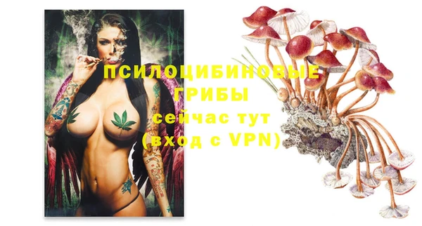 метамфетамин Дмитриев