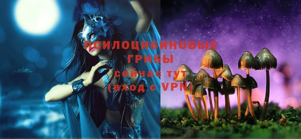 дживик Дмитровск